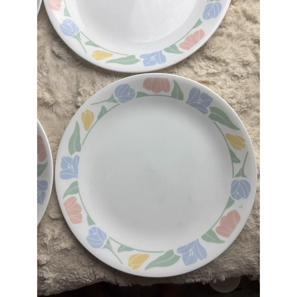 Corelle‎ Friendship Dinner Plates 10.25
